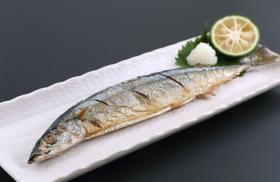 伊保の料理店がご提供する肴料理はこだわりの日本酒との相性も抜群です